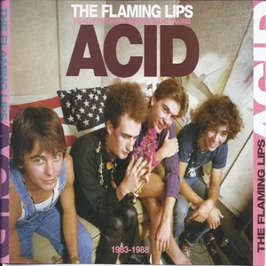 Finally the punk rockers are taking acid : 1983-1988